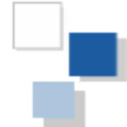IT-Concepts.net GmbH Logo