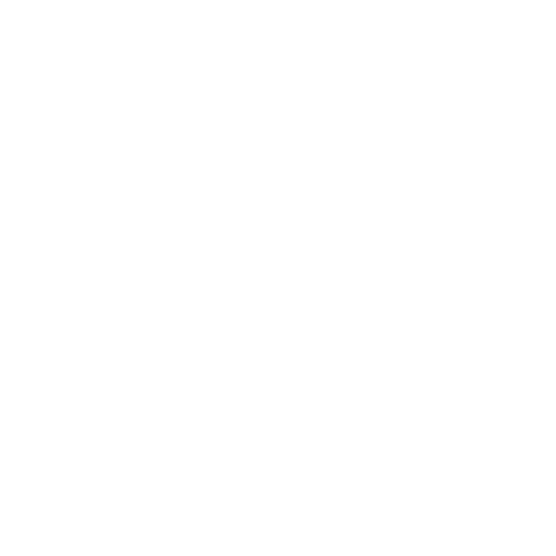 Socialperformer Logo