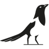 RP Logo