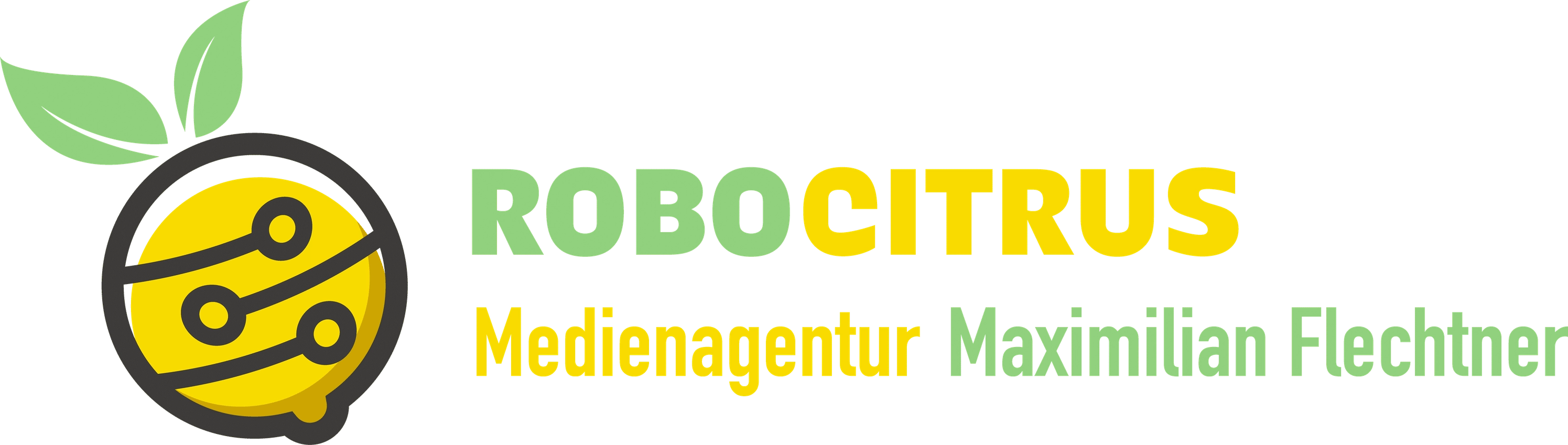Medienagentur Maximilian Flechtner Logo