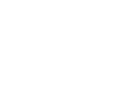 Digital Summiteer | Webseiten & Online Marketing Logo