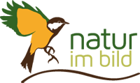 Natur im Bild GmbH Logo