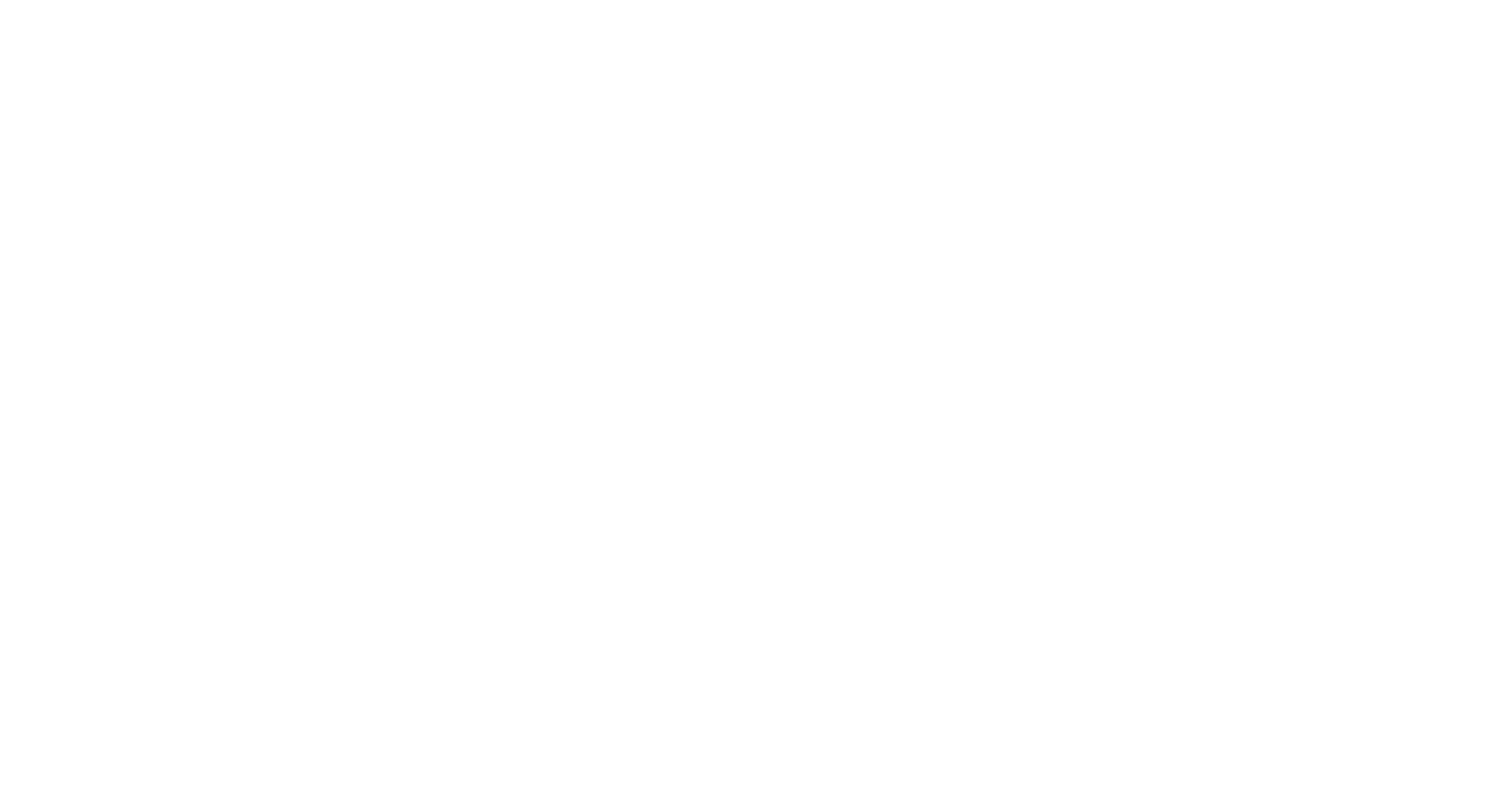 PLogra Werbeagentur Logo