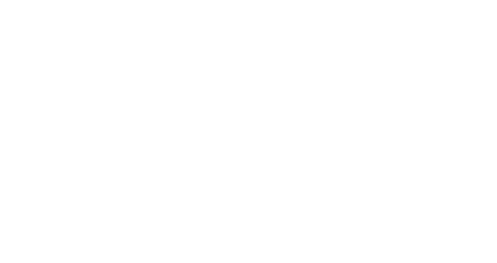 Gamikaze Scheidegger Logo