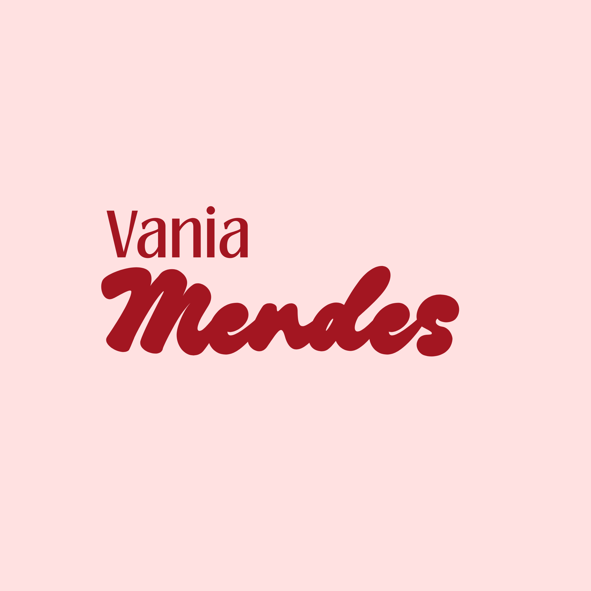 Vania Mendes Logo