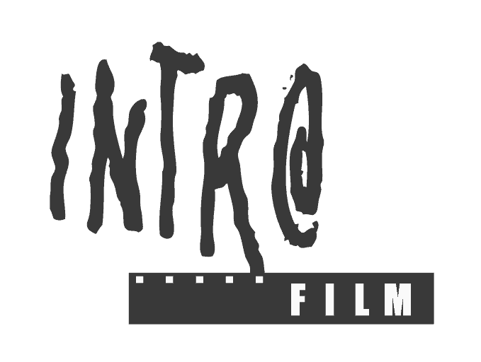 INTRO Marketing GmbH Logo