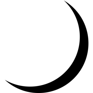Spacifik Webagentur Logo