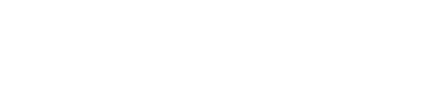 IT Satzinger Logo