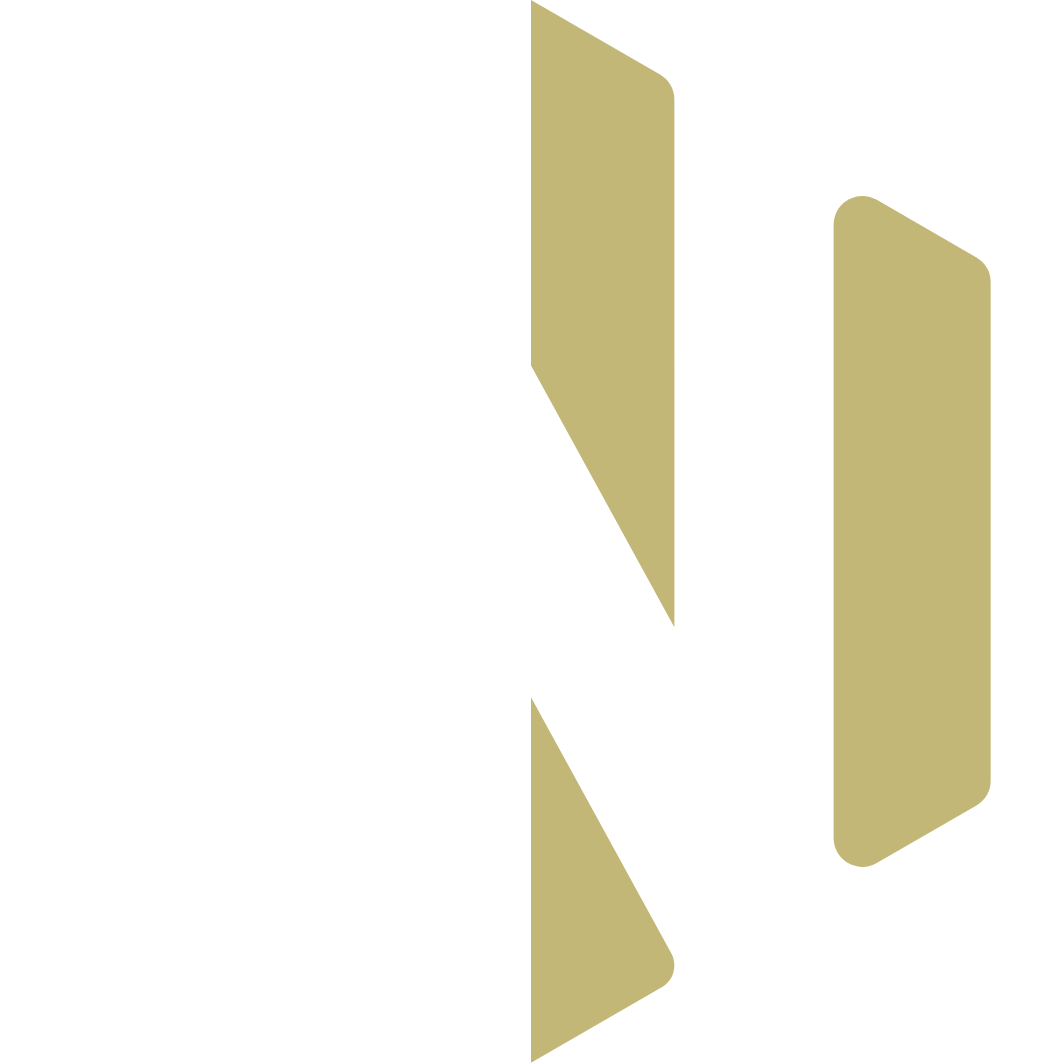 Nile Media Logo
