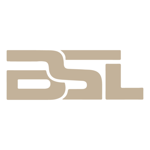Business Support Lübeck Logo
