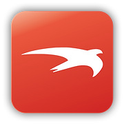 Flyer va. tyler Logo