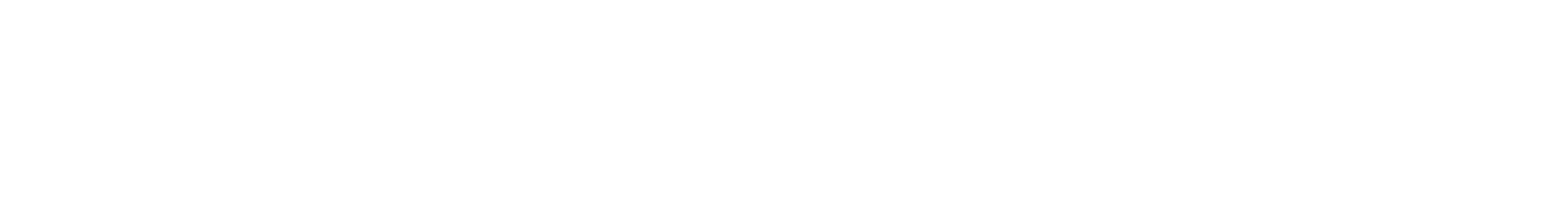 duplicate24 Logo