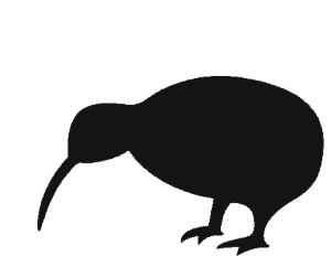 Kiwicom Internetdienste und Webdesign Logo
