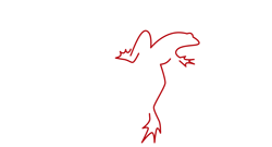 blackfrog design Logo