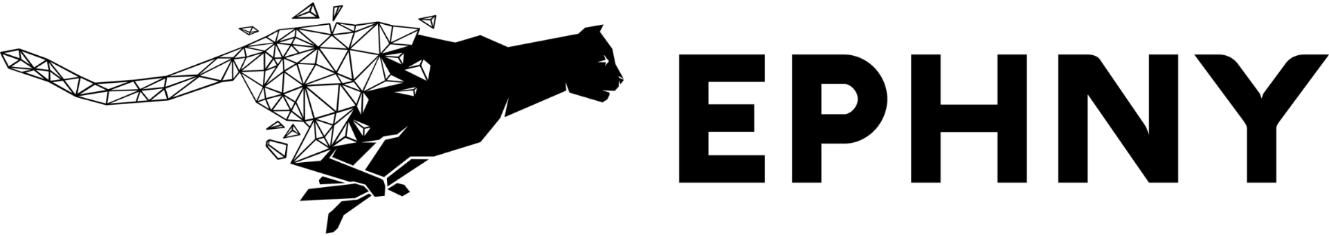 EPHNY GmbH Logo