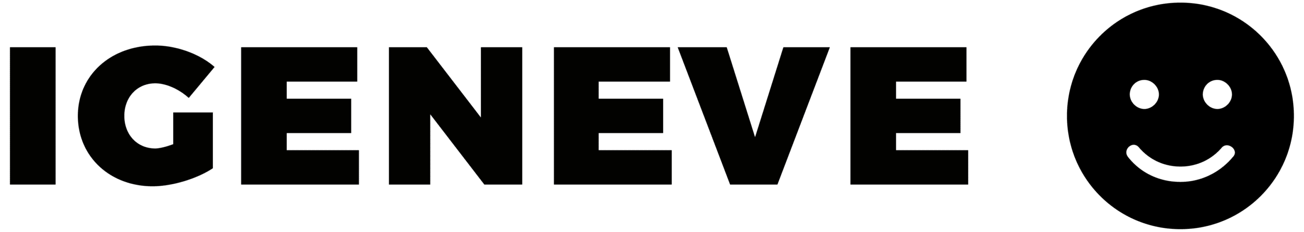 Igeneve Sarl Logo