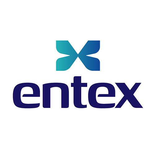 entex GmbH Logo