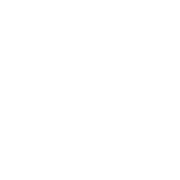 Online Findbar Logo