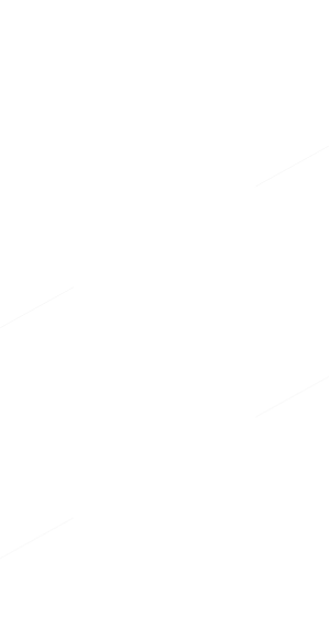 Terranova Logo