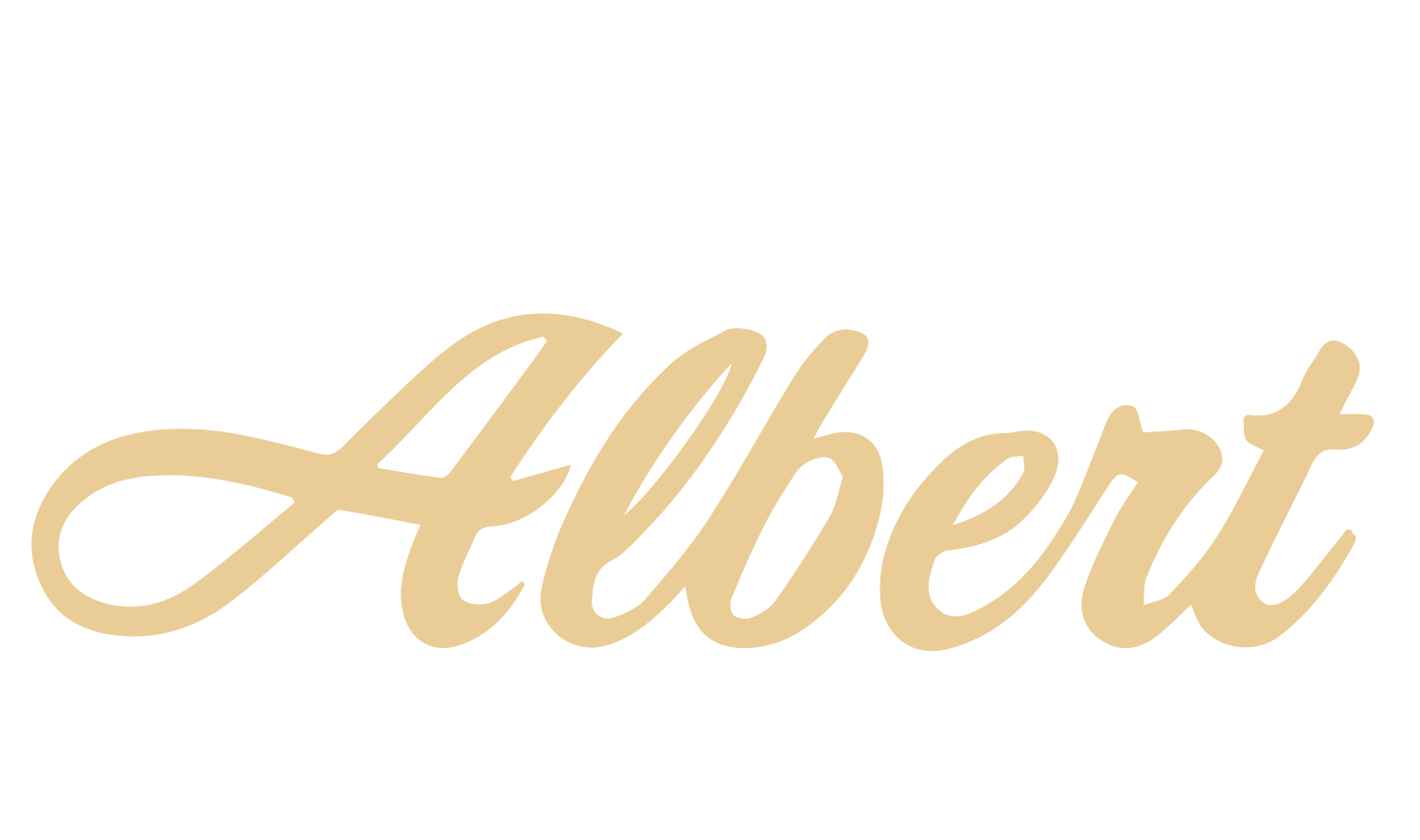 Typo-Studio Albert Logo