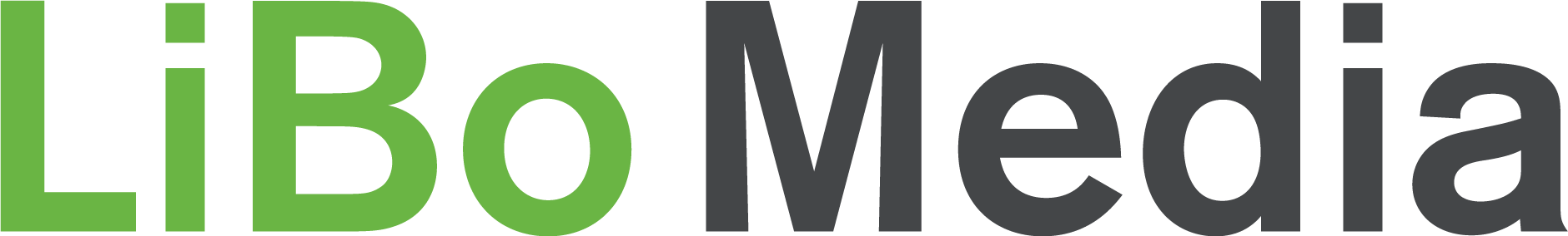 LiBo Media Druck&Werbung Logo