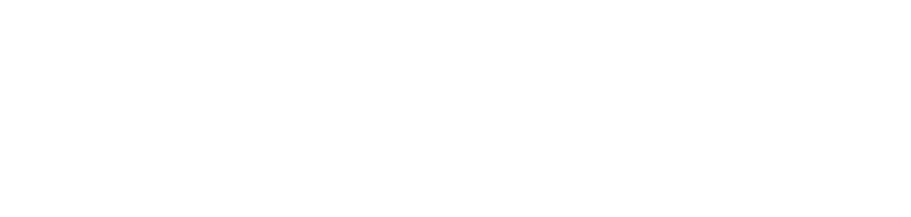 WITWINKEL AG Logo