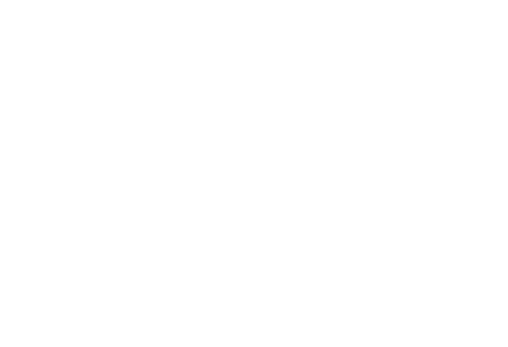 Borda Marketing Logo