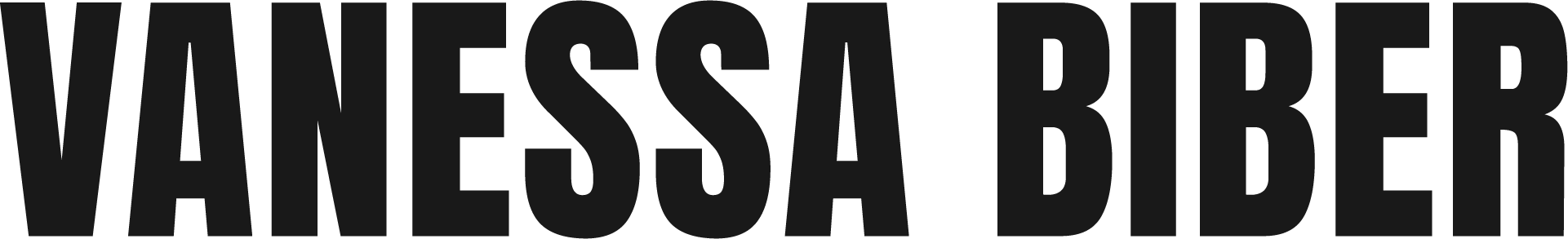 Vanessa Biber | Webdesignerin/-entwicklerin Logo