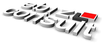ebiz-consult GmbH & Co. KG Logo