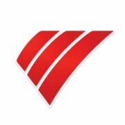 Swiss Digital Strategy Logo