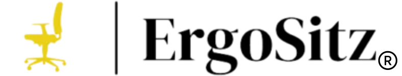 📍 Bioswing Shop ErgoSitz GmbH Logo
